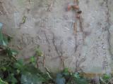image of grave number 366117